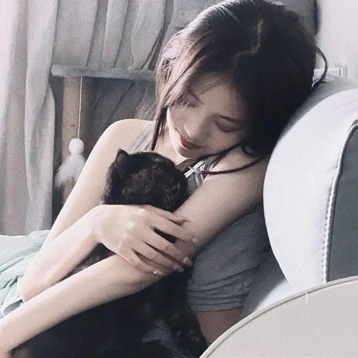 亚瑟与梅林:圣杯骑士